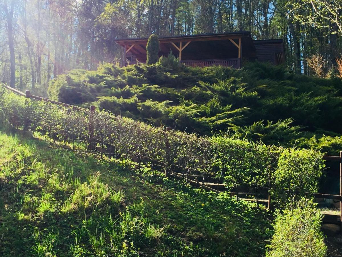 Domek Letniskowy "Domek W Zieleni" Kaszuby Lapino Exterior foto