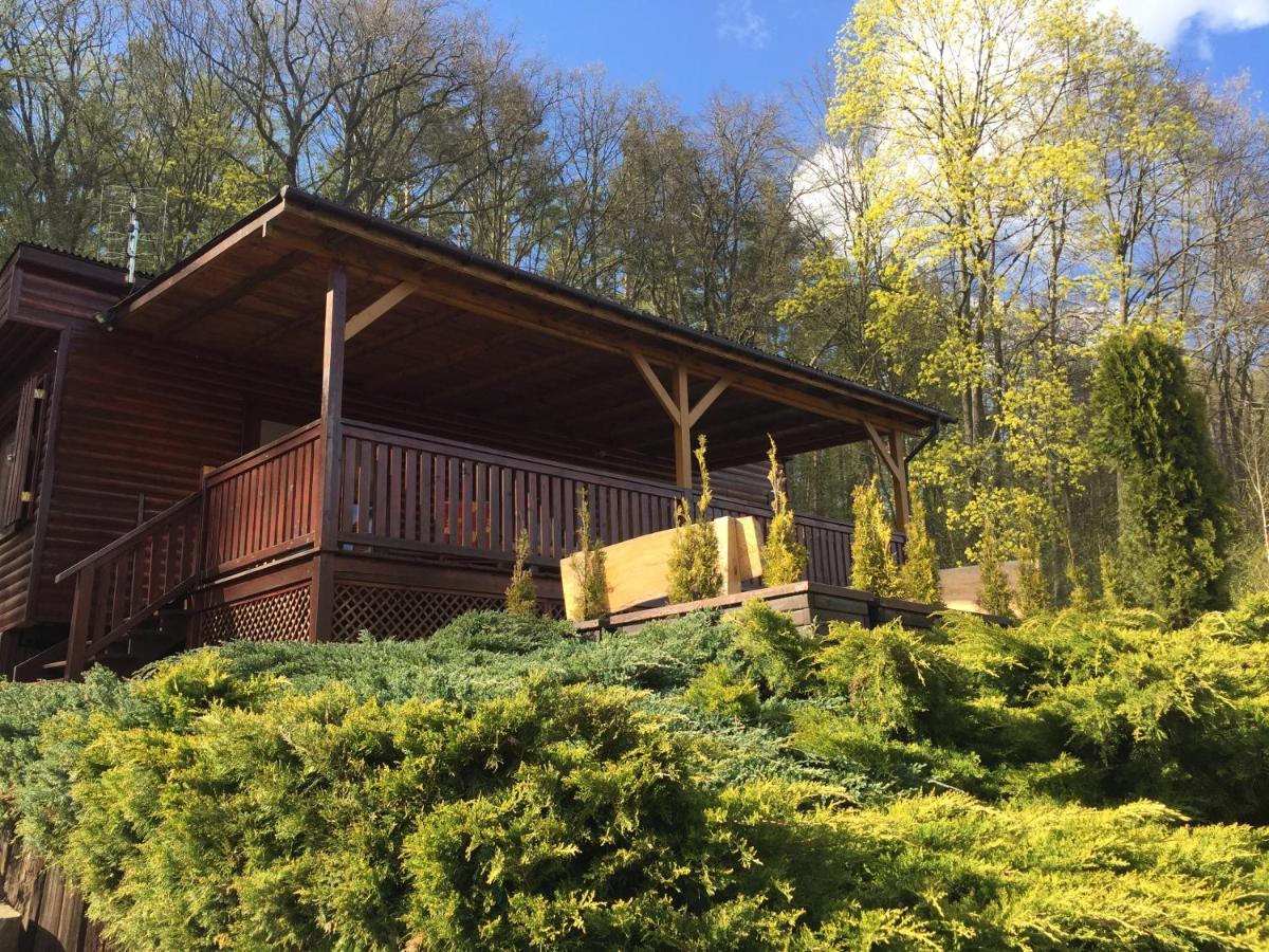 Domek Letniskowy "Domek W Zieleni" Kaszuby Lapino Exterior foto